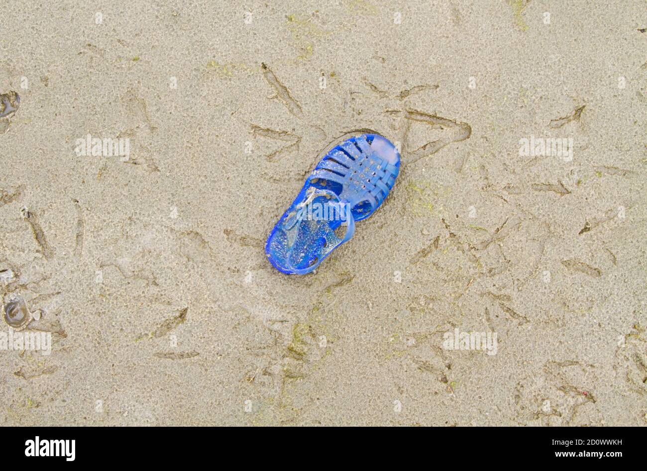 Blue plastic children’s sandal washed up the beach Stock Photo