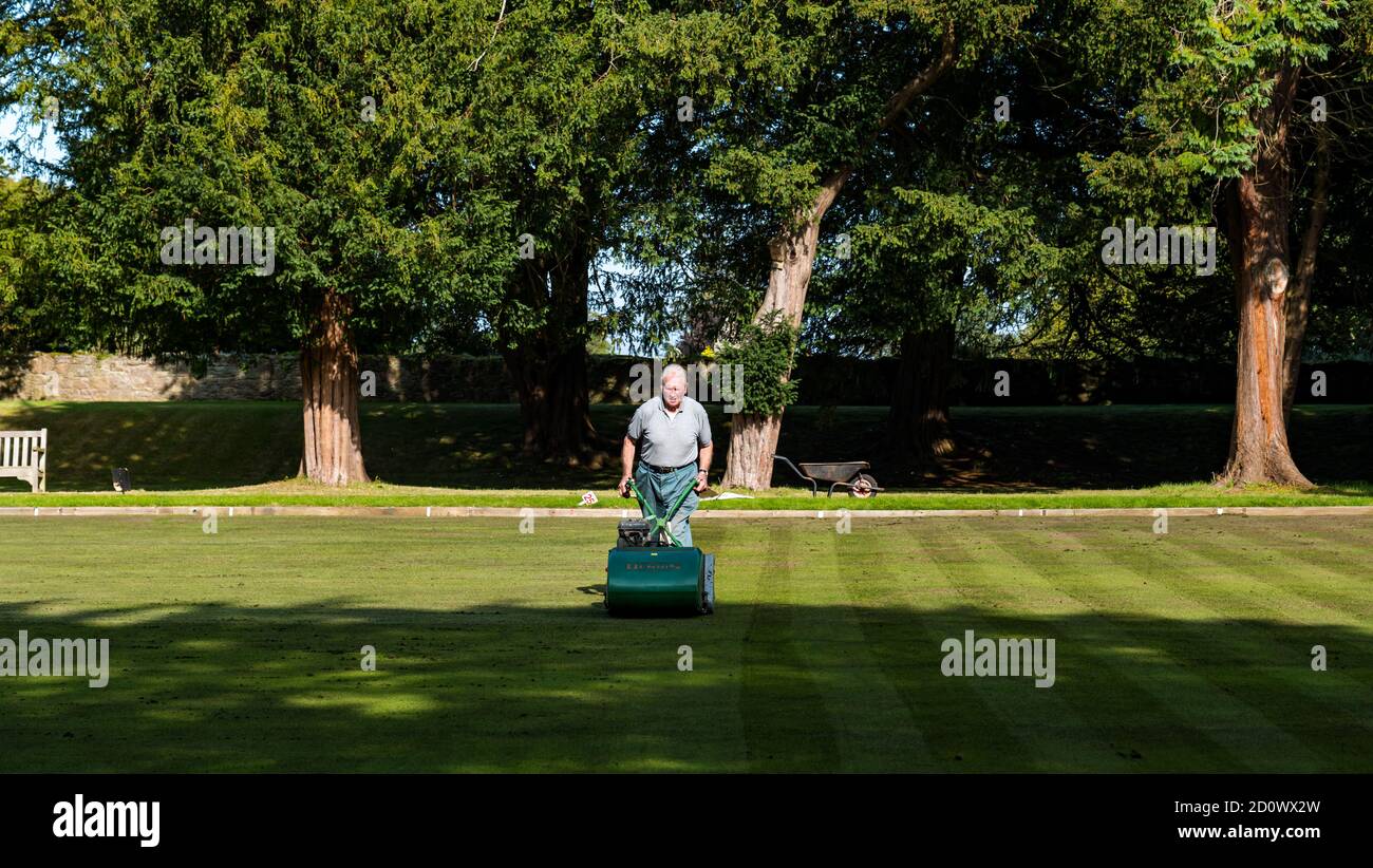 Older man mowing grass on bowling green in sunshine, Dirleton, East Lothian, Scotland, UK Stock Photo