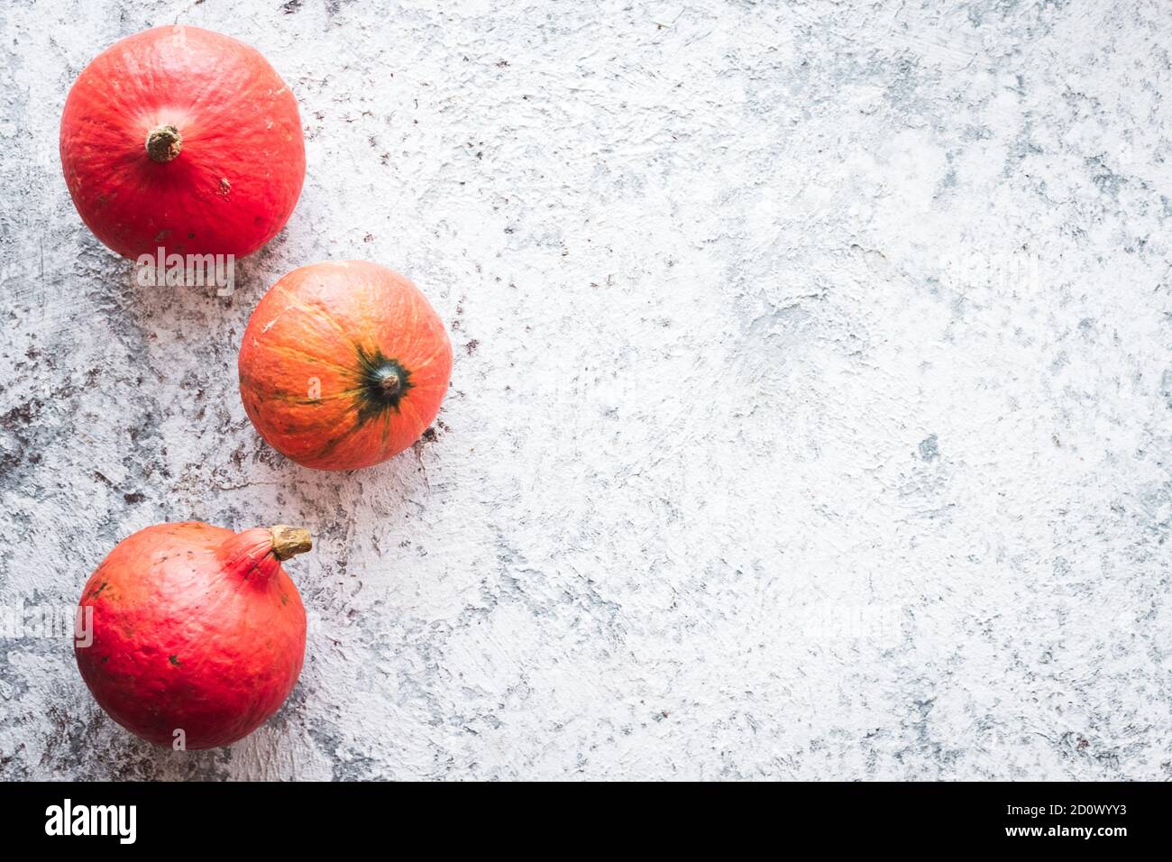 Bright autumn pumpkins on grey background with copy space for text. Beautiful autumn frame. Mockup for seasonal offers and holiday post card. Top view Stock Photo