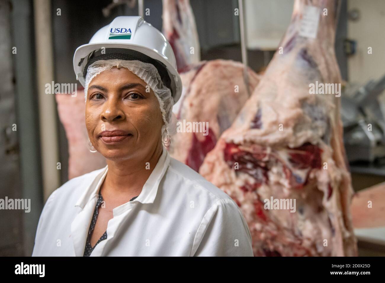 USDA Worker standing in front of cuts of meat, Sudlersville, MD Stock Photo