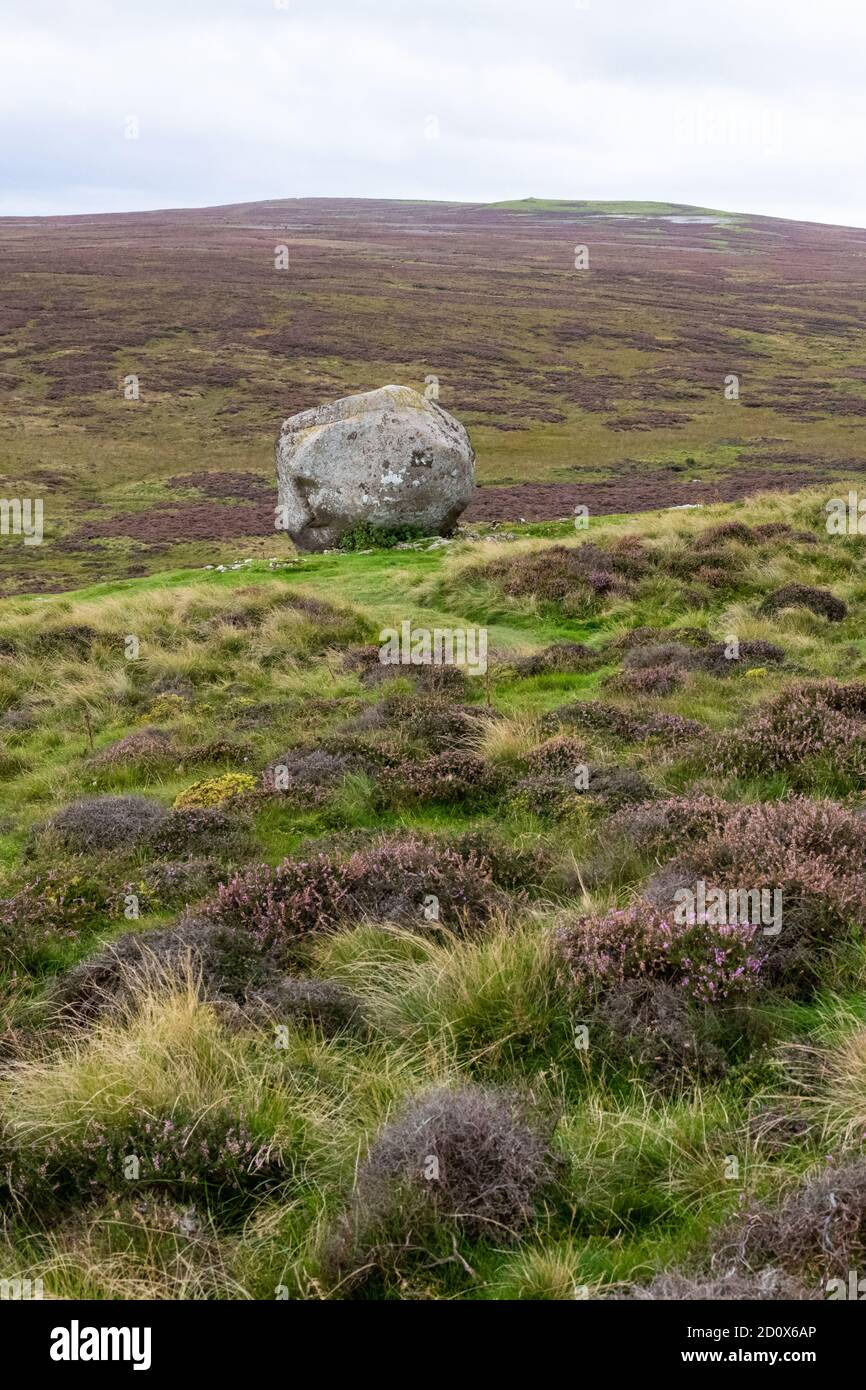 Granite erratic boulder, Crosby Ravensworth Fell, Cumbria, England, UK Stock Photo
