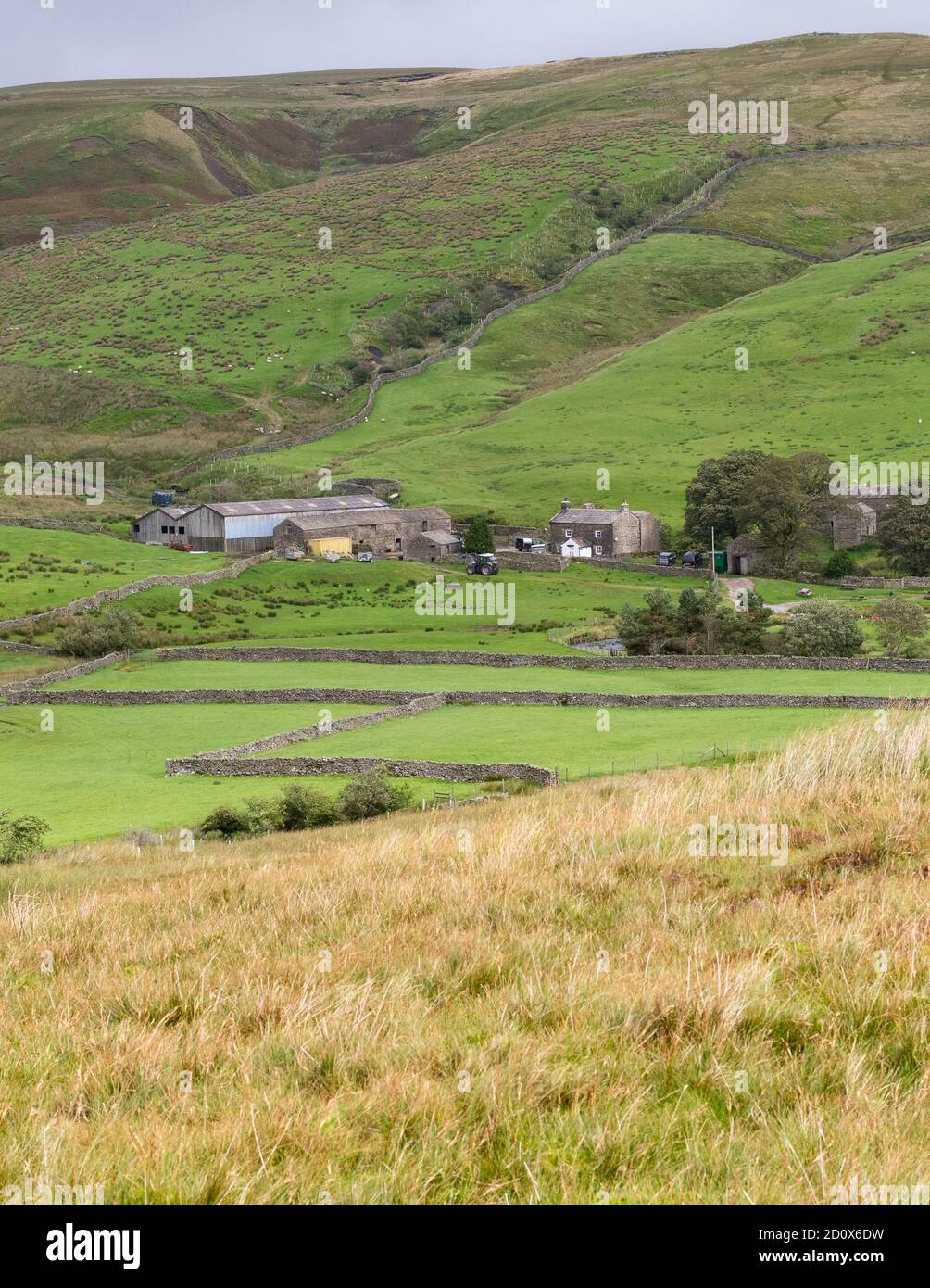 Ravenseat Farm, a Yorkshire Dales sheep farm and home to The Yorkshire Shepherdess Amanda Owen and family, Keld,  North Yorkshire, England, UK Stock Photo