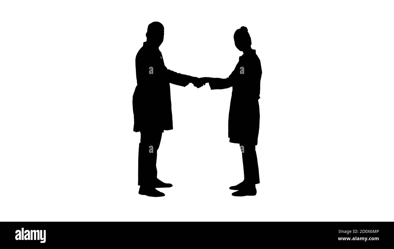 Silhouette Doctors shaking hands and posing to camera. Stock Photo