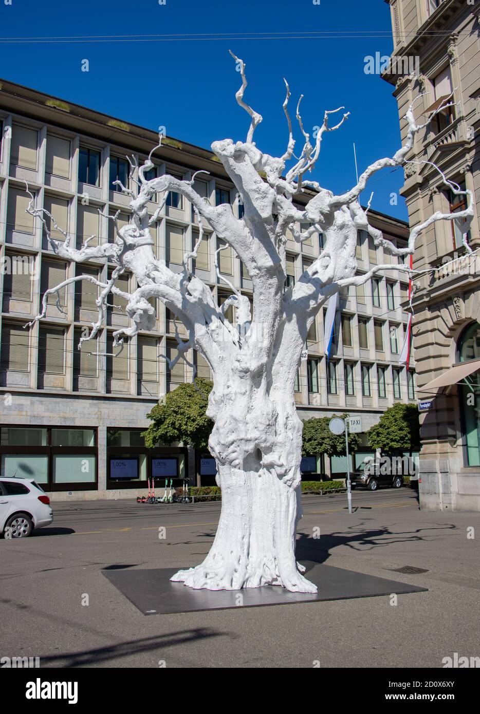 ZURICH, SWITZERLAND, JUL 30 2020, An artistic imitation of a white olive tree on Paradeplatz square, Zurich. Stock Photo