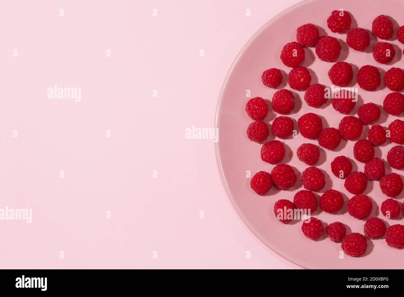 Bright ripe juicy raspberries on a pastel pink plate on a pastel light blue background. Stock Photo