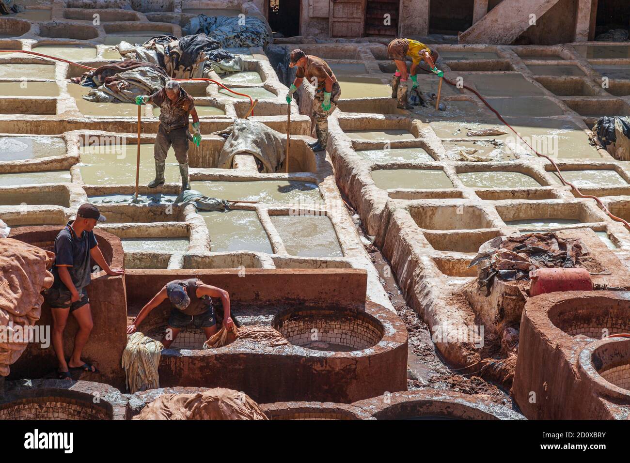 leather workers dying hides at Chouara Tannery  one of the three tanneries in the city of Fez, Morocco. Stock Photo