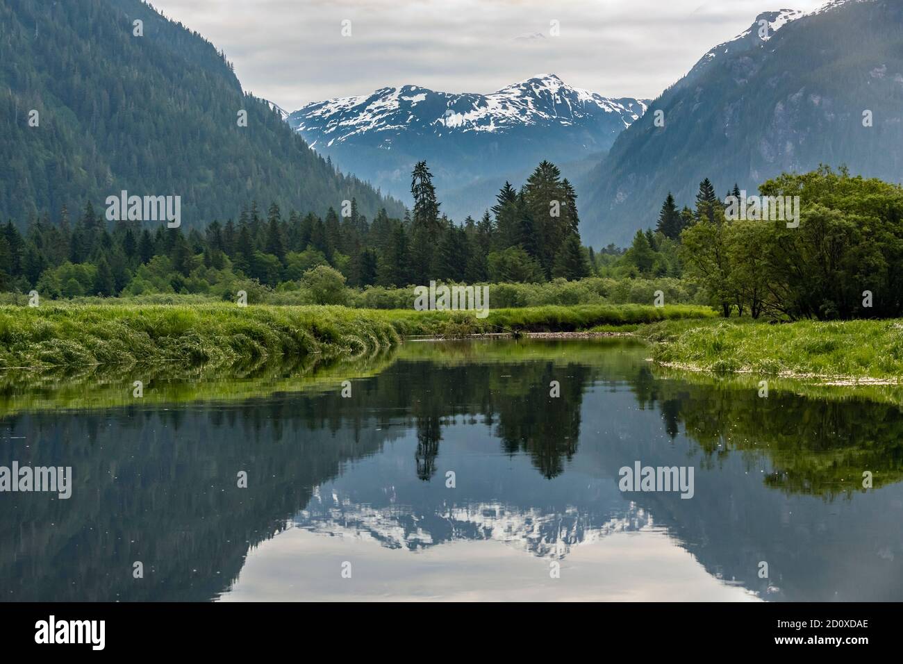 Khutzeymateen inlet with snow covered mountains, rainforest and sedge grass with reflections, BC Stock Photo