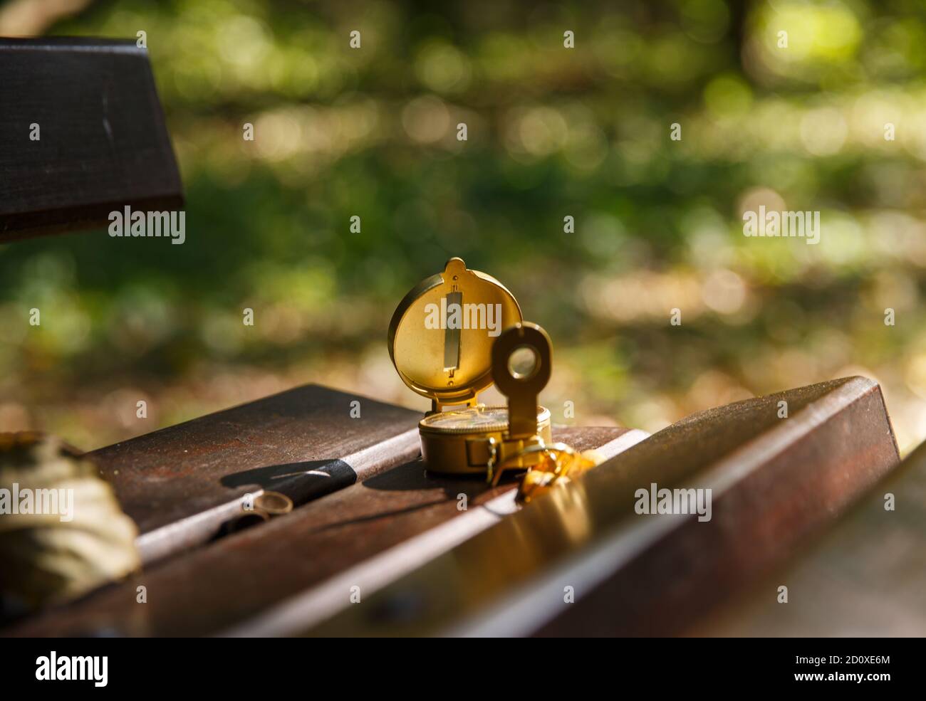 Compass Bench metal compass lies on a wooden bench in the park in the shade of trees ...