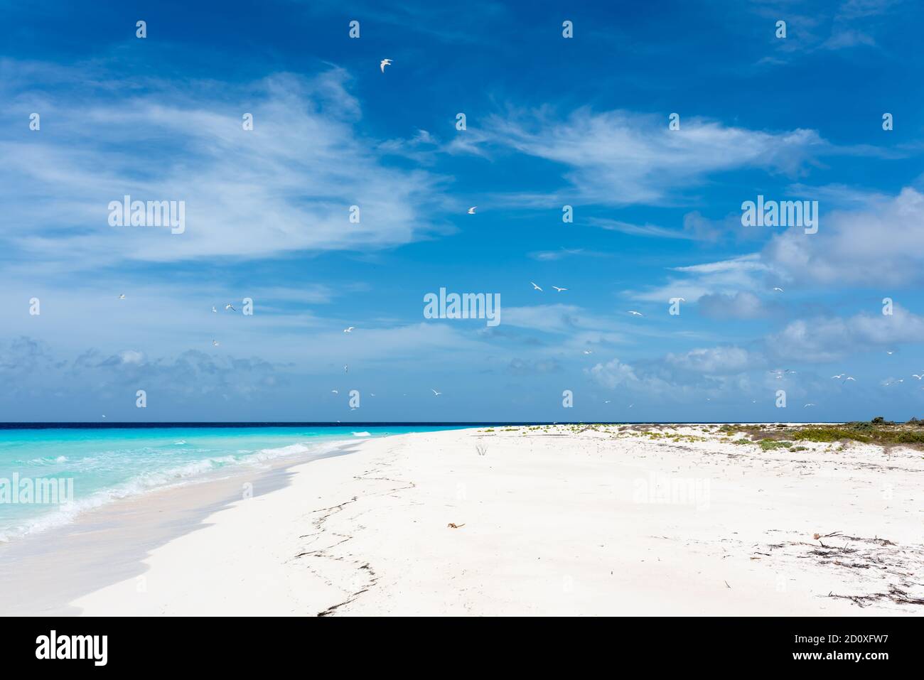 Tropical white beach with crystalline water in Cayo de Agua  (Los Roques Archipelago, Venezuela). Stock Photo