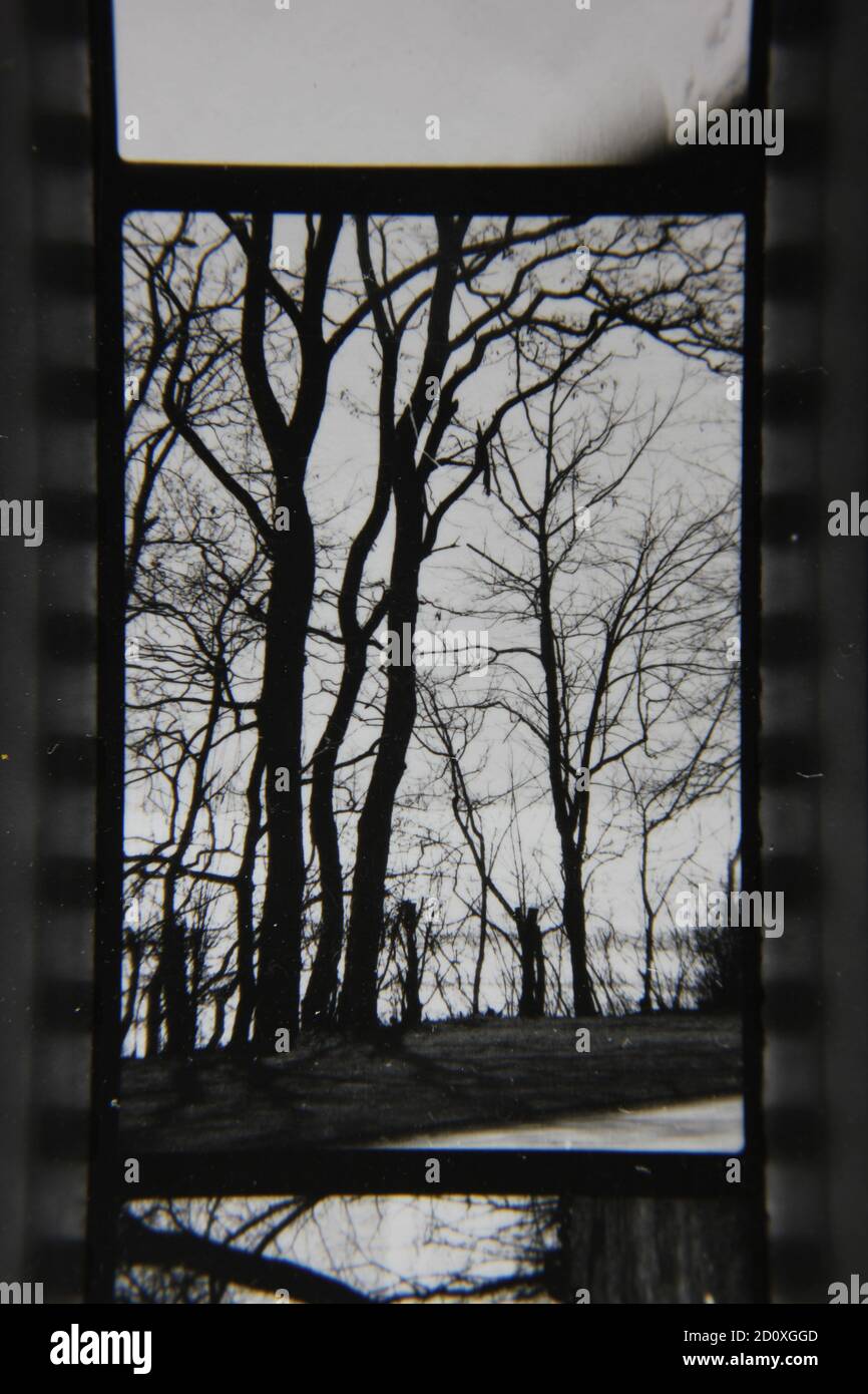 Fine 1970s Vintage Black And White Photography Of A Walk In The Remote 