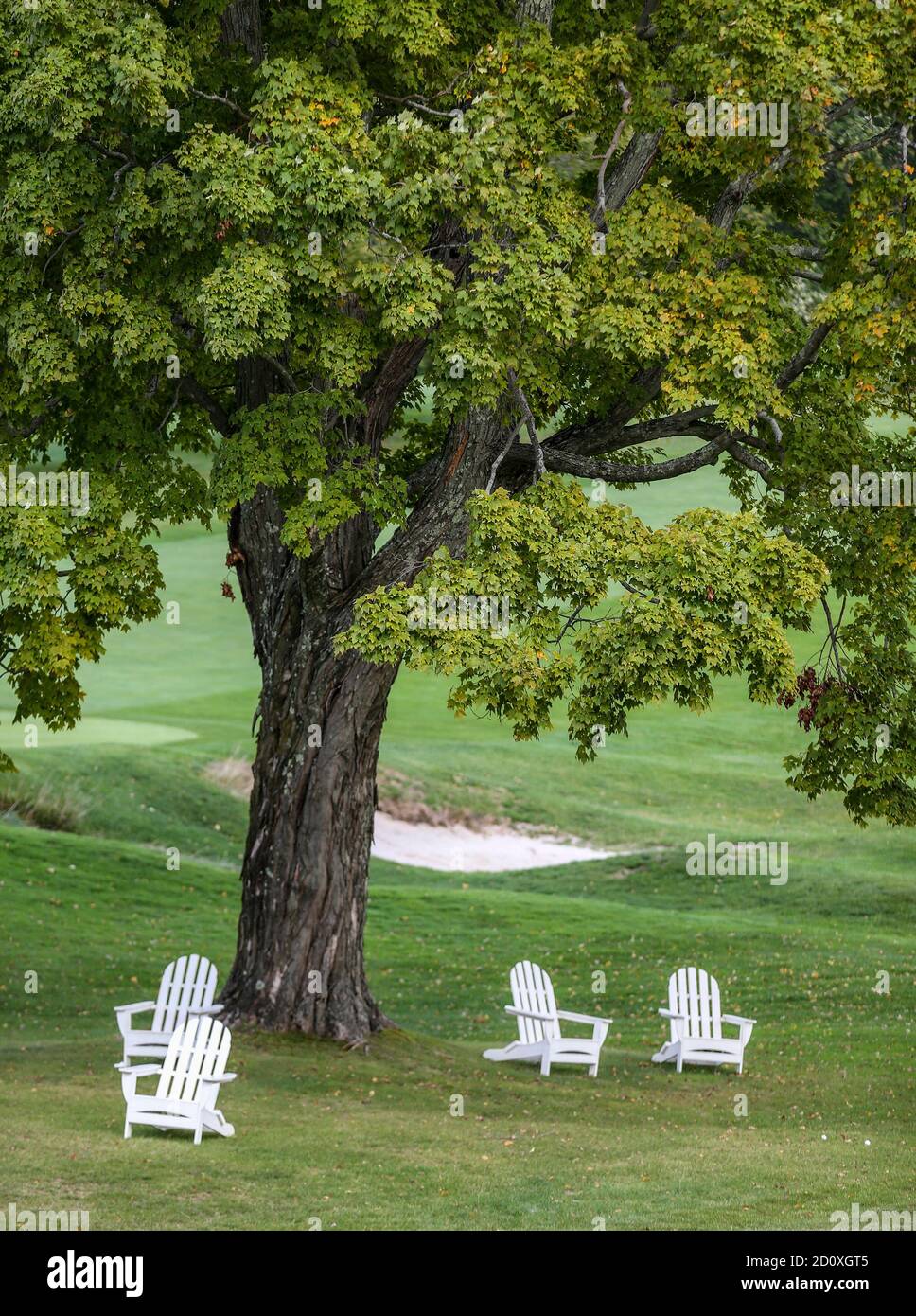 Four chairs under a tree on a summer day Stock Photo