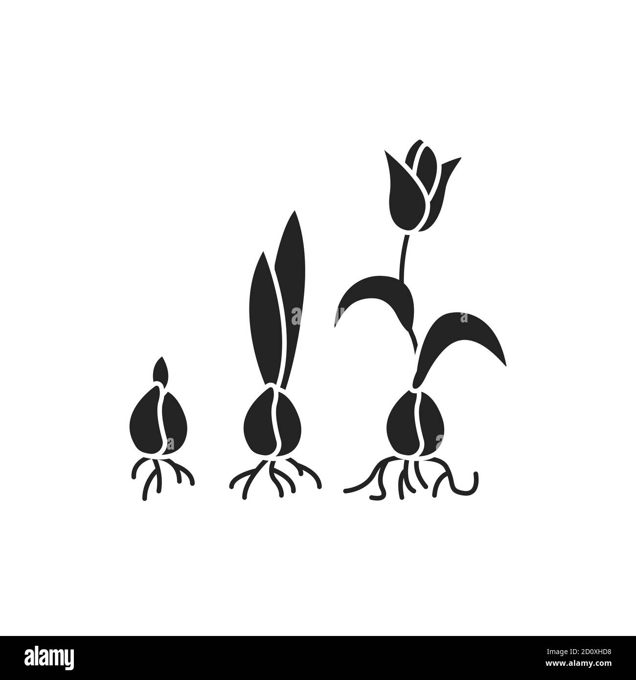 Growing plant stages black glyph icon. The seed, germination, growth, reproduction, pollination, and seed spreading. Pictogram for web page, mobile Stock Vector