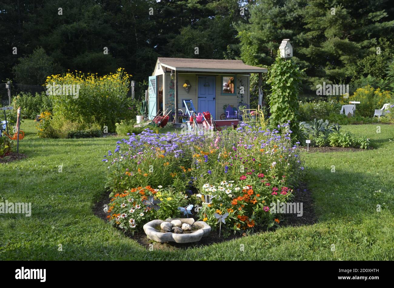 Painted shed in community garden of bright colors in blooming summer garden, Yarmouth, Maine, USA Stock Photo