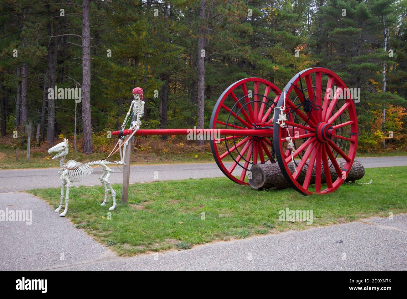 Halloween decorations celebrate the harvest festival at Hartwick Pines