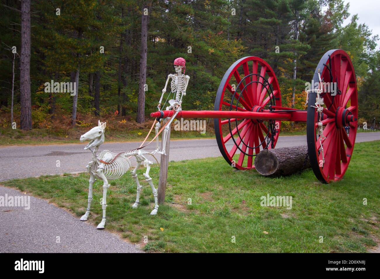 Halloween decorations celebrate the harvest festival at Hartwick Pines State Park in Michigan. Stock Photo