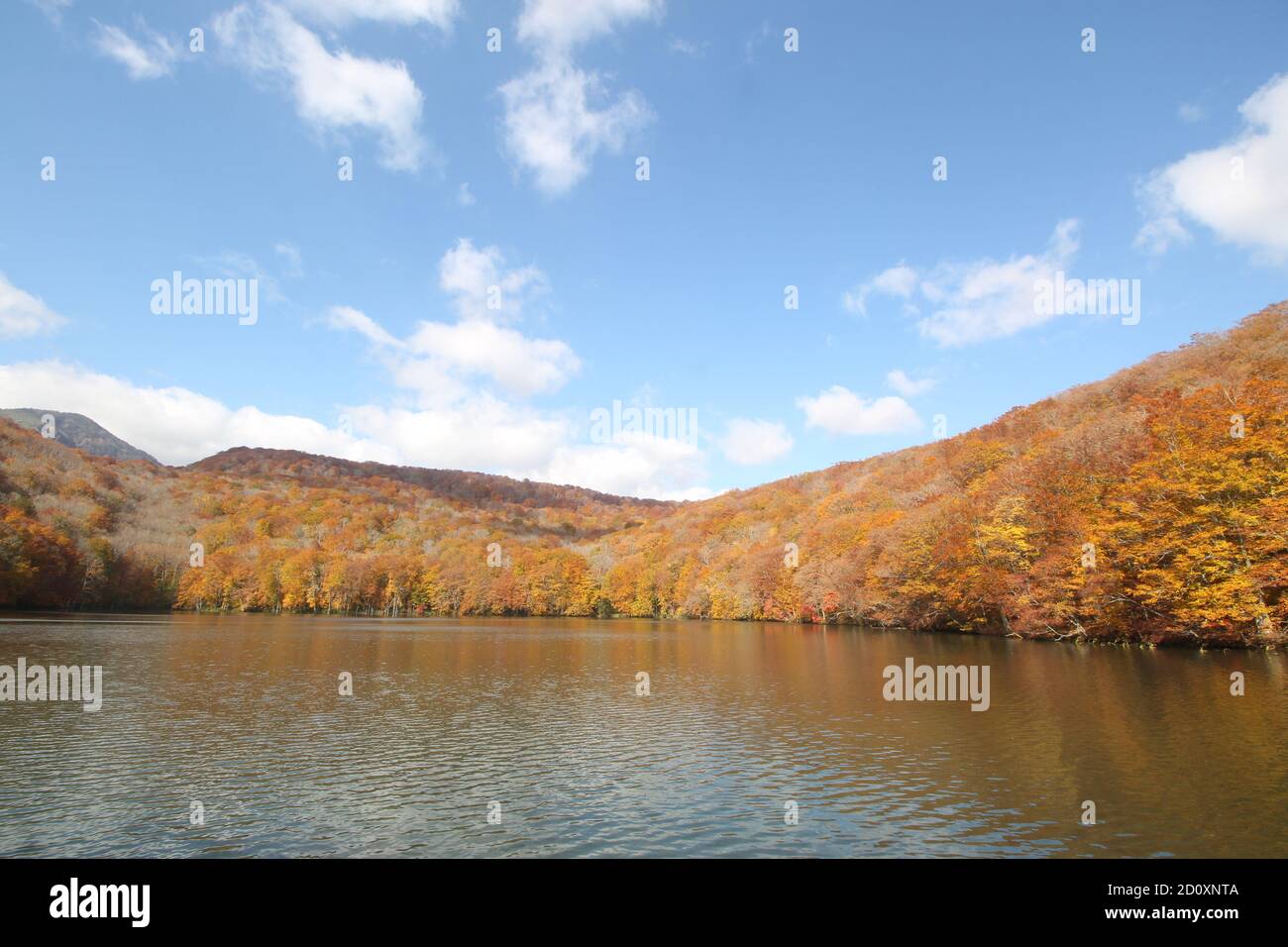Beautiful landscape at Tsuta Onsen in Autumn, Aomori, Japan, Asia Stock Photo
