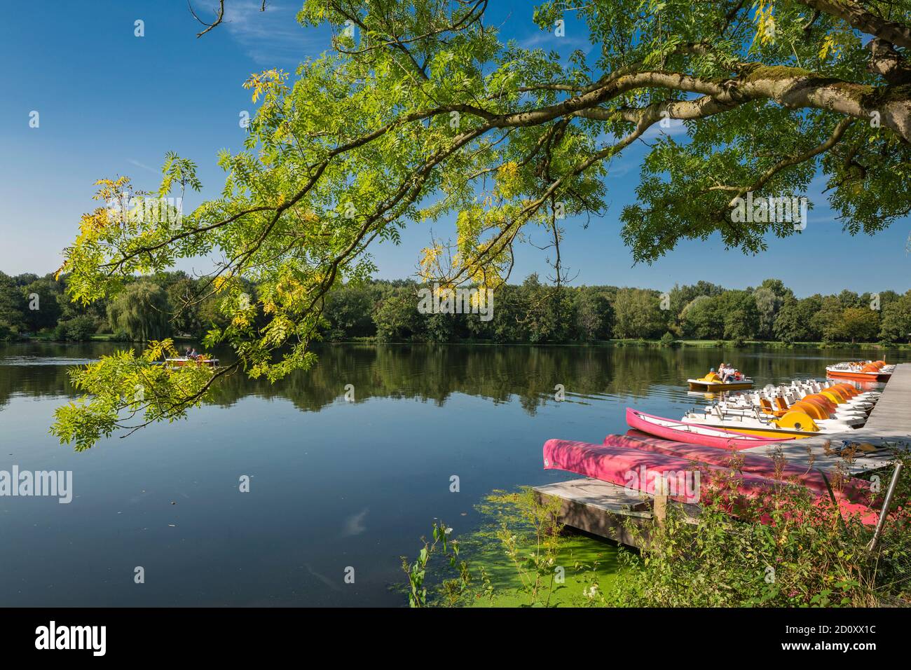 D-Borken, D-Borken-Hoxfeld, Hohe Mark Westmuensterland Nature Park, Muensterland, Westphalia, North Rhine-Westphalia, NRW, Proebsting Lake, leisure and recreational park, tourist attraction, boat rental, pedal boats, freetime, amusement Stock Photo