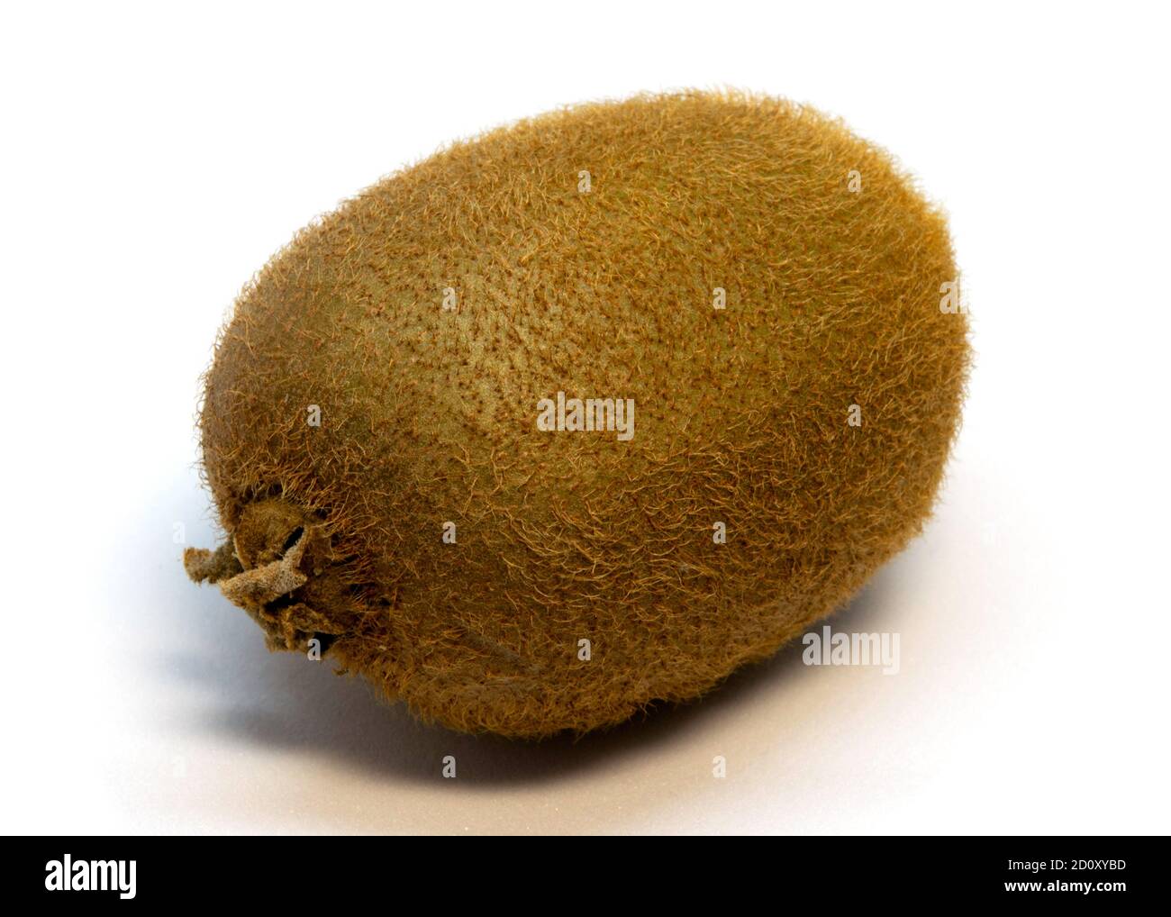 Kiwi fruit isolated on white background close-up Stock Photo