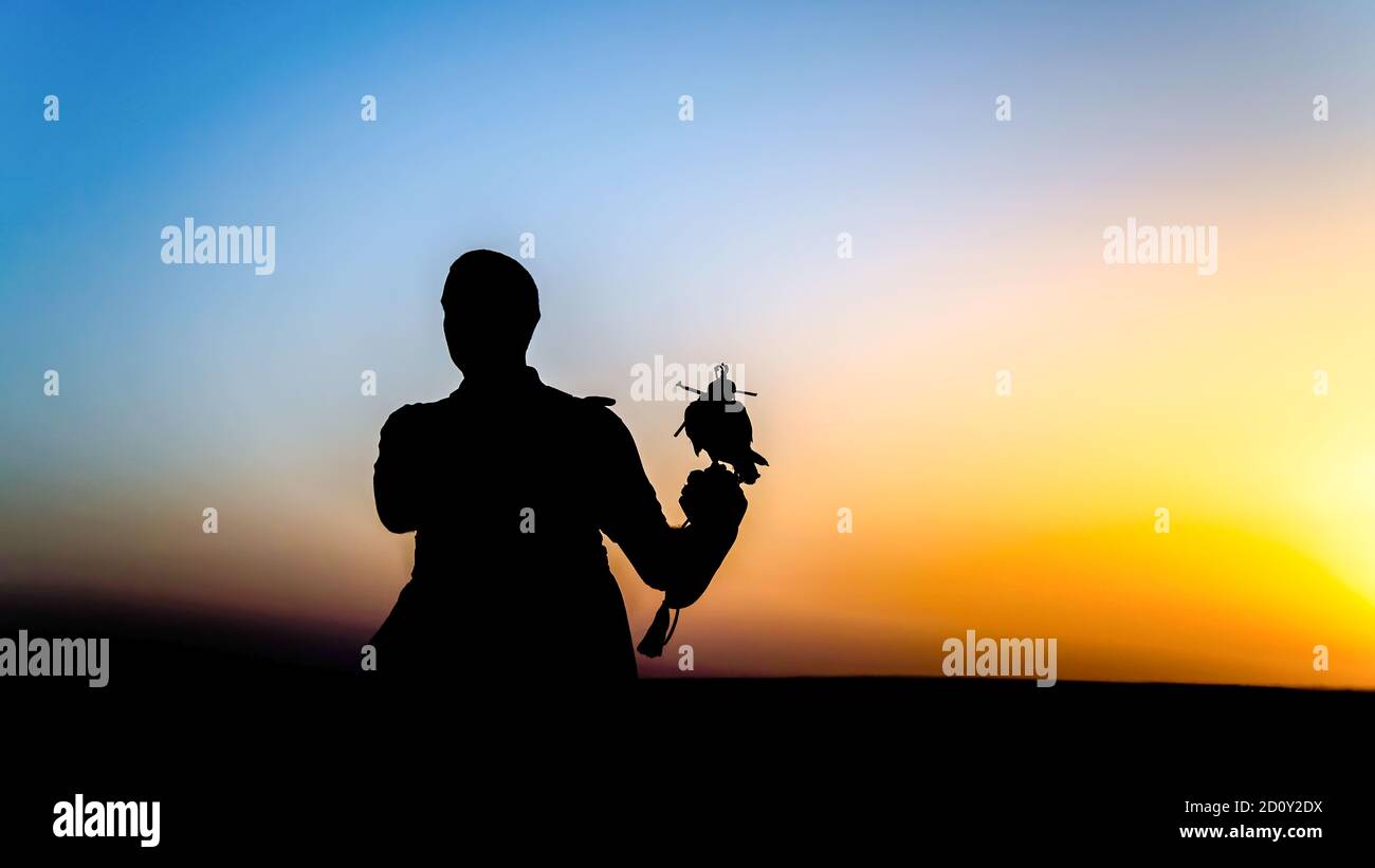 Dubai, UAE - June 2013: Falcon trainer silhouette in desert with sunset scenery Stock Photo