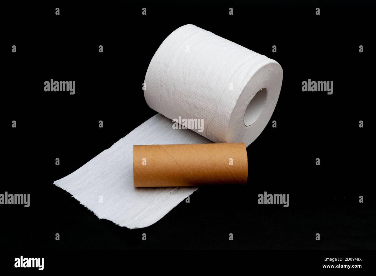 Short And Long Tissue Paper Core Isolated On White Background It Is Two  Brown Of Toilet Paper Core Isolated Stock Photo - Download Image Now -  iStock