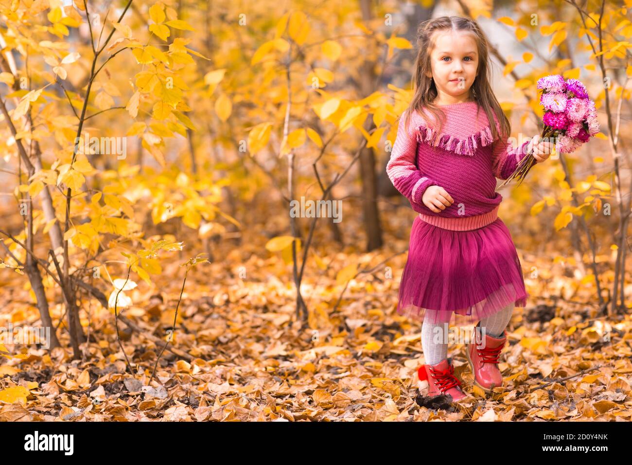 Cute little girl in autumn park with pink flower bouquet Stock Photo ...
