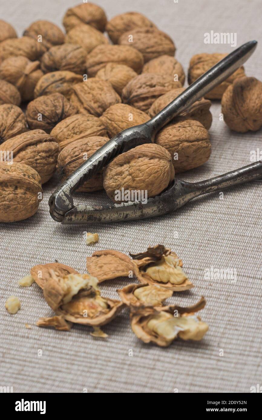 walnuts, nutcracker and cracked nuts on a light surface Stock Photo