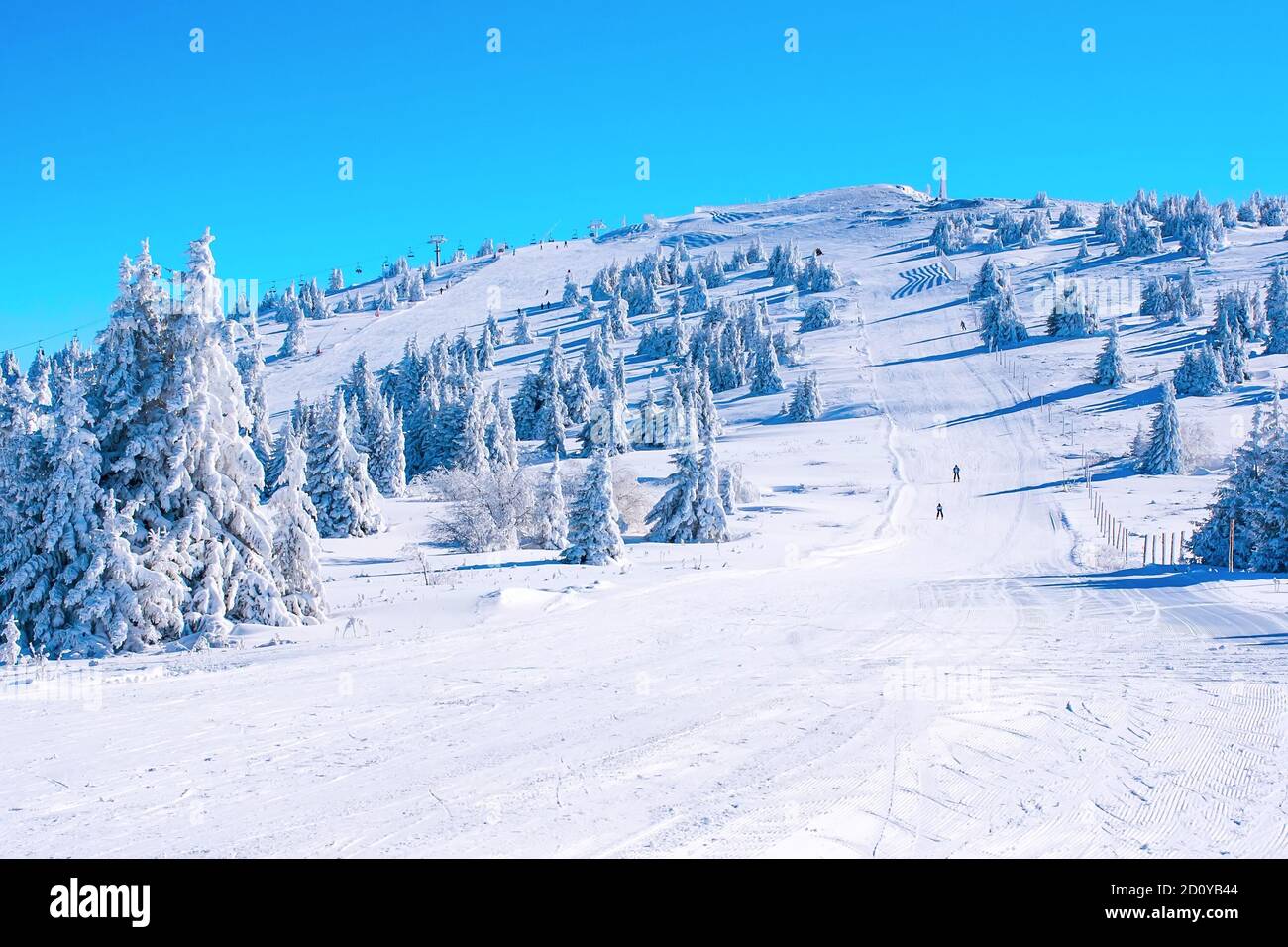Winter Kopaonik, Serbia panorama of the slope at ski resort, people skiing, snow pine trees, blue sky Stock Photo