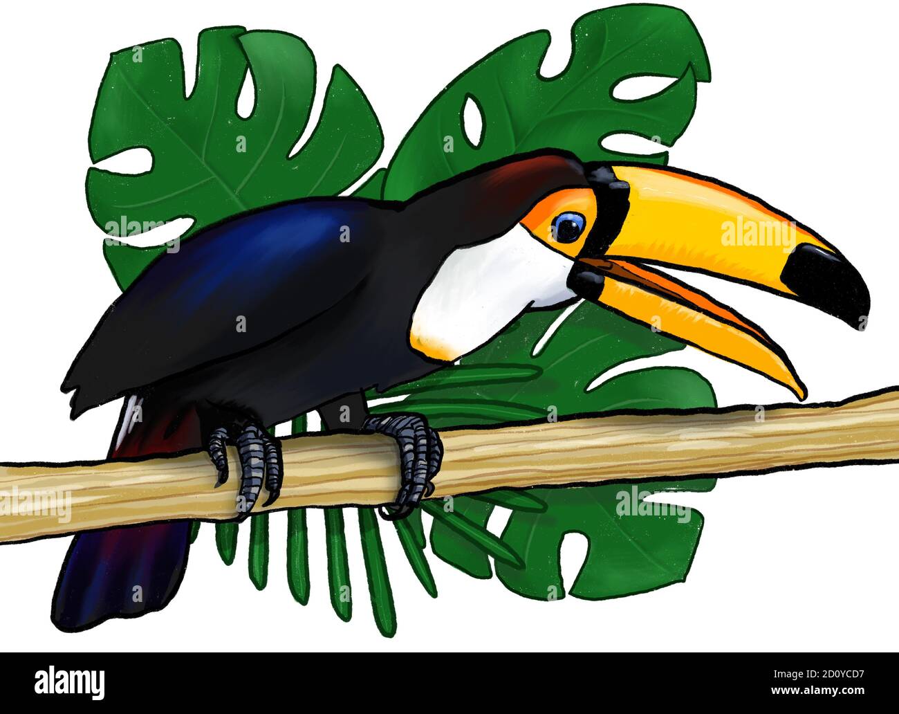 Toucan tropical exotic bird with a background of monstera and palm leaves sitting on the branch with opened beak illustration Stock Photo