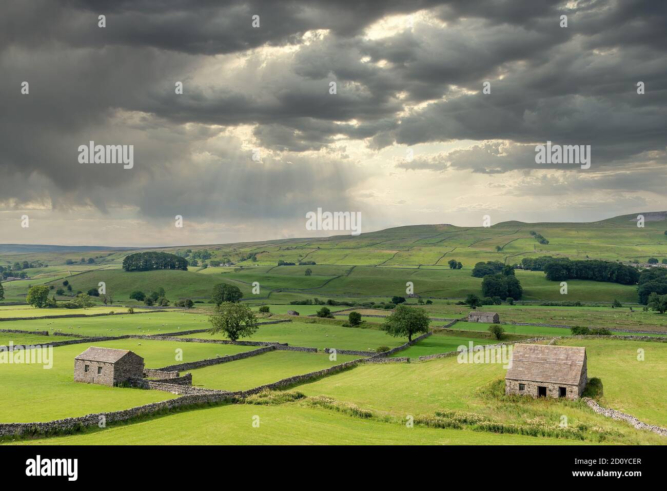 Cotterdale, Yorkshire Dales National Park, York, Uk; A view of an old stone barn, sheep and the rolling landscape of the Yorkshire Dales. Stock Photo