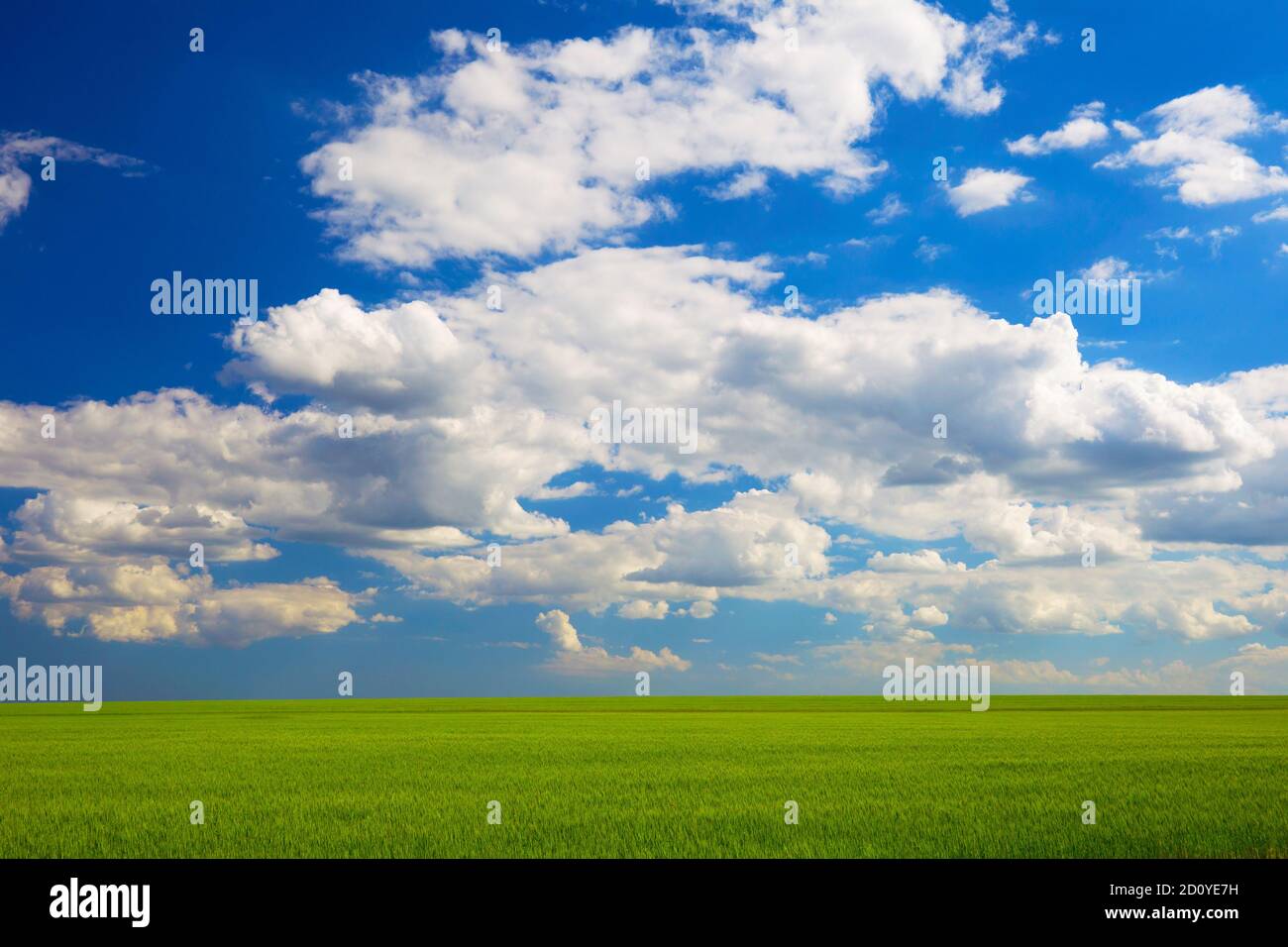 Plain blue sky sun hi-res stock photography and images - Alamy