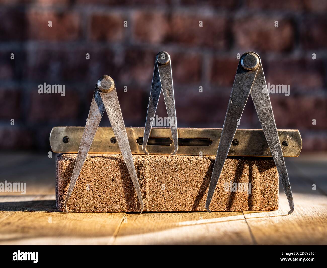 Leg callipers leg calliper leg callipers leg caliper hires stock