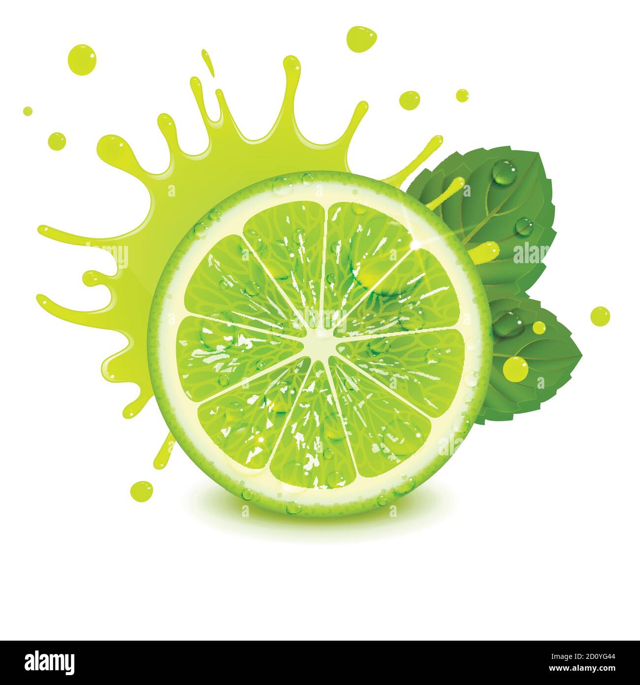 fresh lime with mint leaves and a splash of juice on a white background