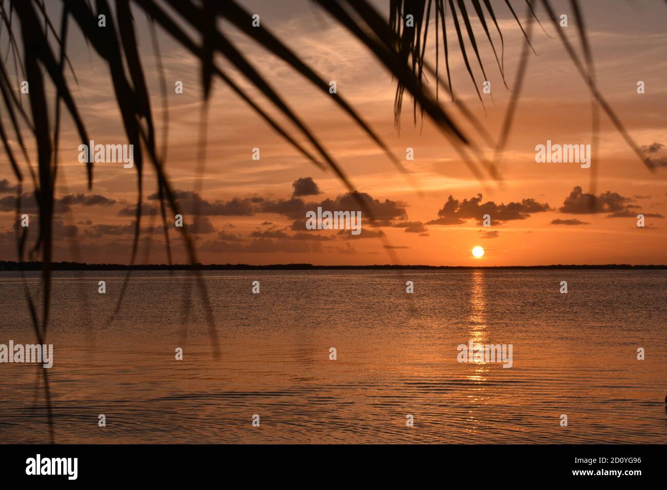 Sunset Florida Stock Photo