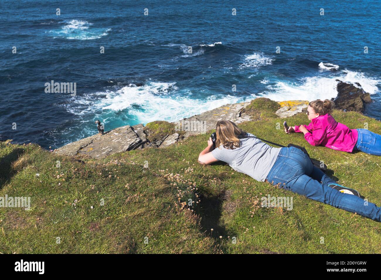 dh Brough of Birsay ORKNEY SCOTLAND Puffin on cliff top family tourists photographing puffins two people watching fratercula arctica Stock Photo