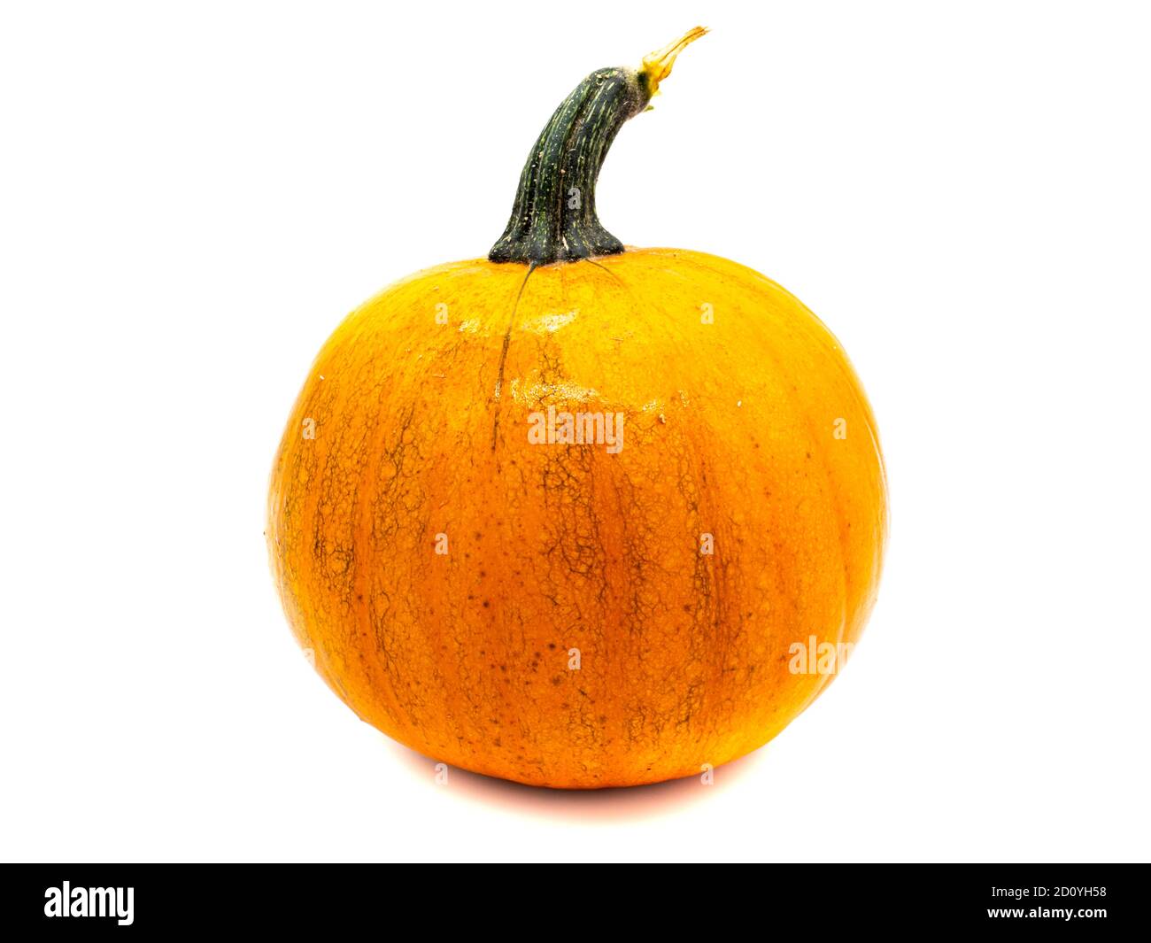 orange pumpkin isolated on white background Stock Photo