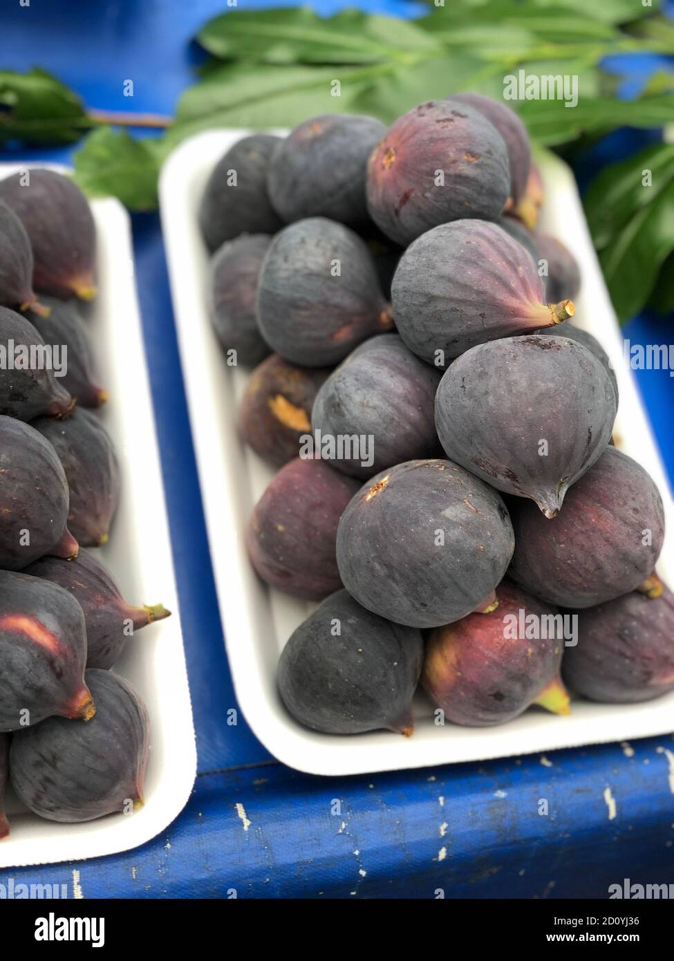 fresh fruit figs, unpeeled in the basket Stock Photo