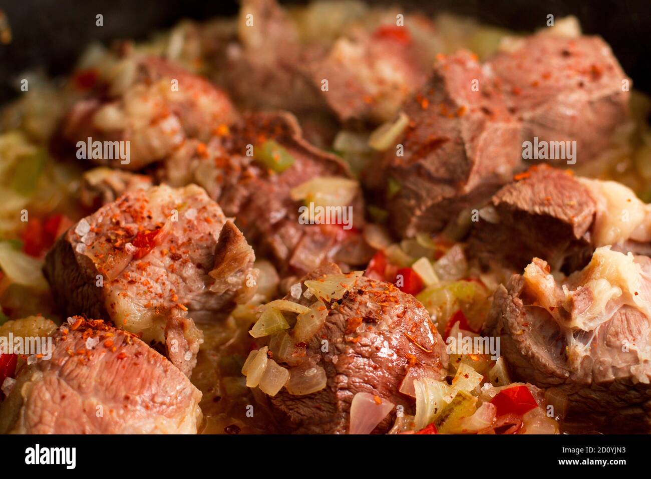Closeup to a meat stew with onions and seasonings Stock Photo