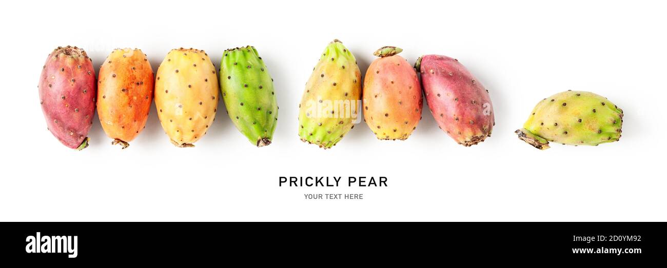 Prickly pear fruits creative banner isolated on white background. Healthy food and dieting concept. Tropical cactus fruit composition and border. Top Stock Photo