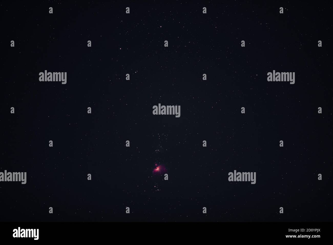 Pink Real Stars the pink orion nebula in the starry night sky Stock Photo - Alamy