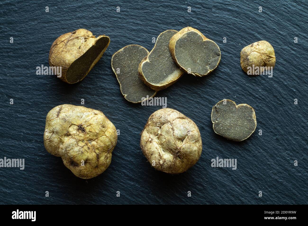 Melanogaster broomeanus is an inedible mushroom look like a truffle, whole and slised Stock