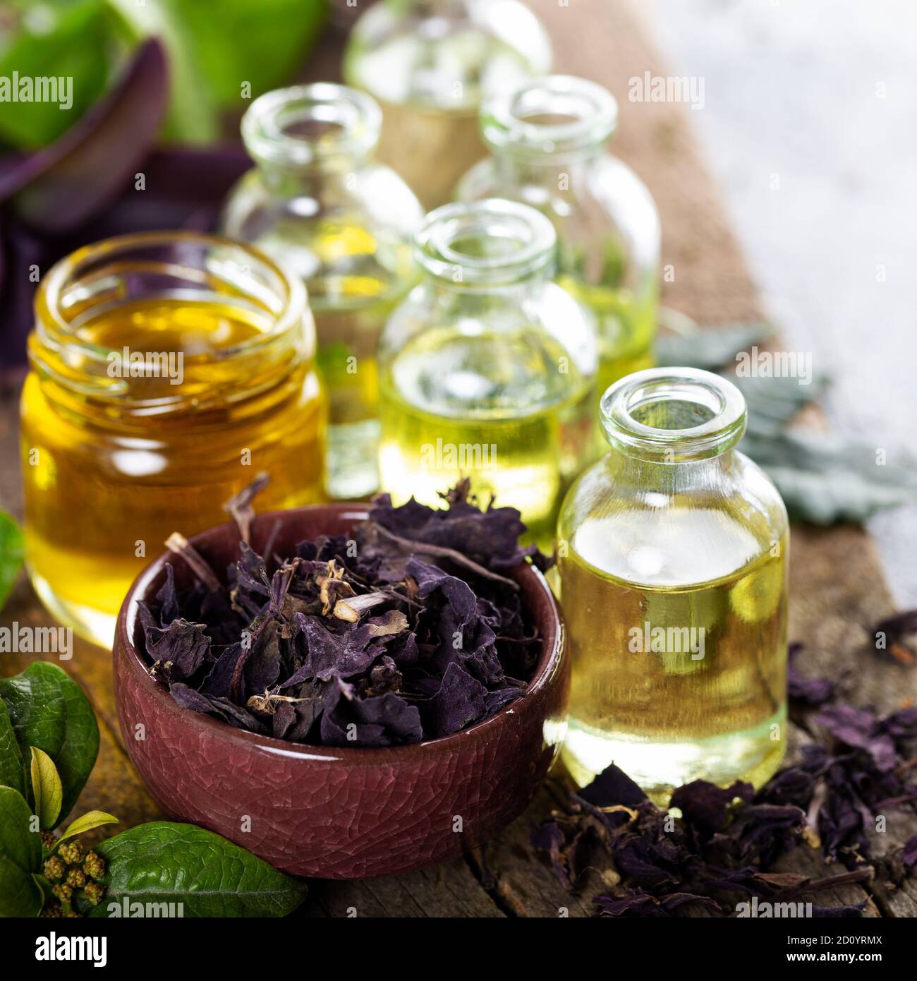 A bottle of basil essential oil with dried basil leaves and flowers. Selection of essential oils, with herbs and flowers in the background. Stock Photo