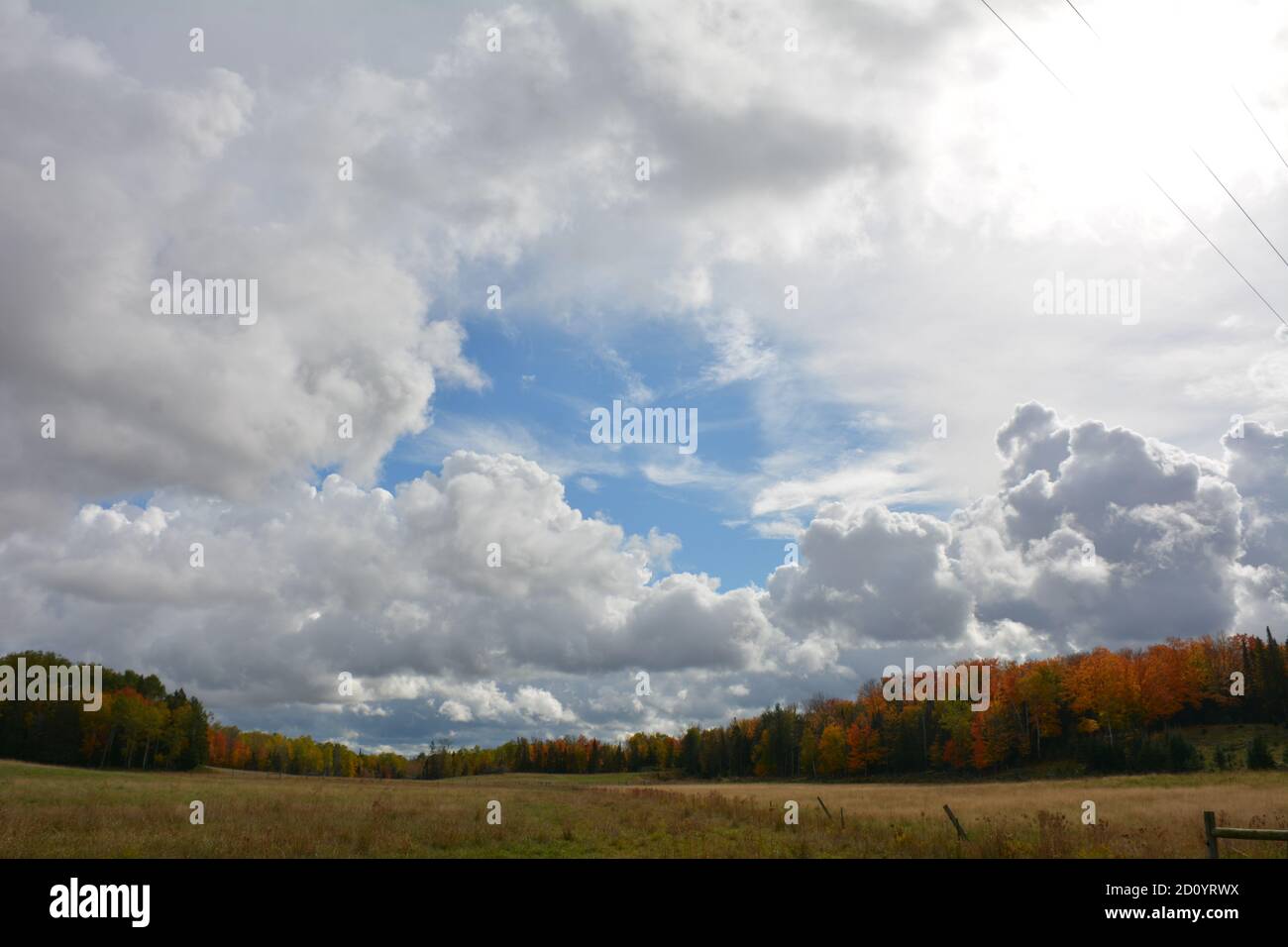 Fall colours in trees on rural farm in Northern Ontario Stock Photo - Alamy