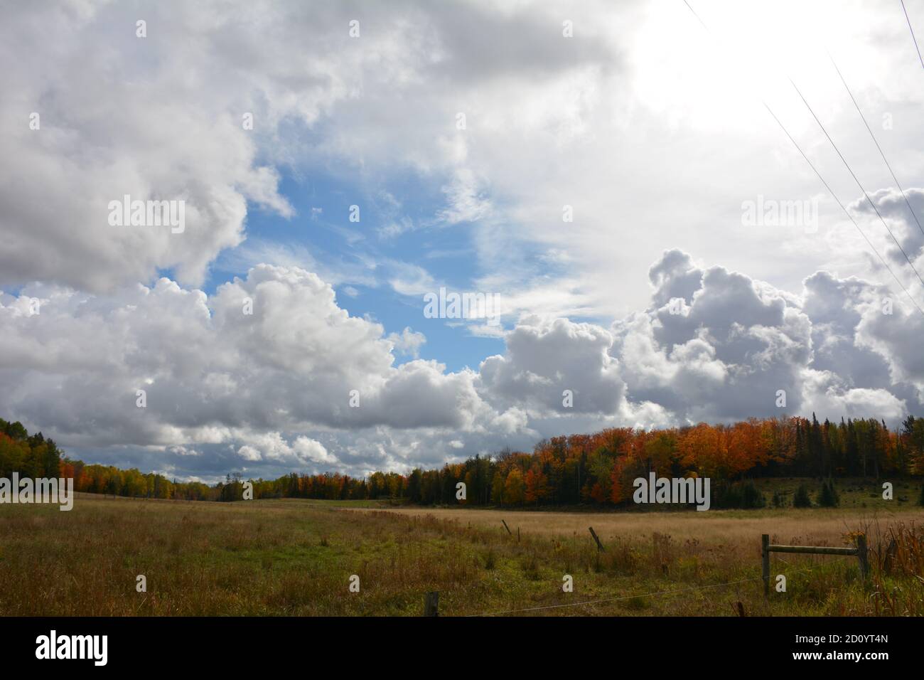Fall colours in trees on rural farm in Northern Ontario Stock Photo - Alamy