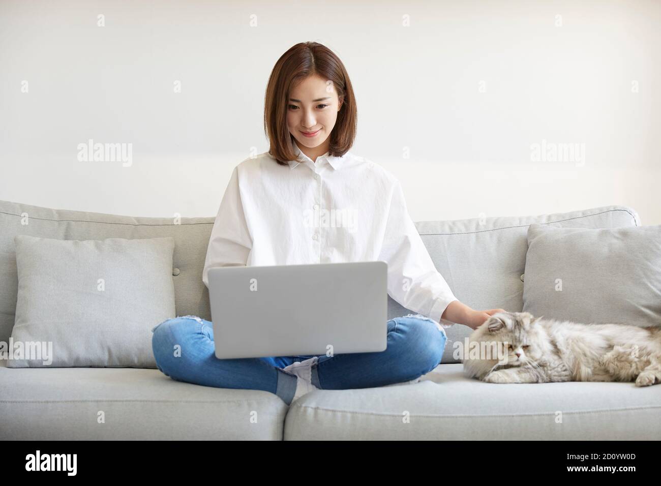 young asian businesswoman working at home using laptop computer while caressing pet cat Stock Photo