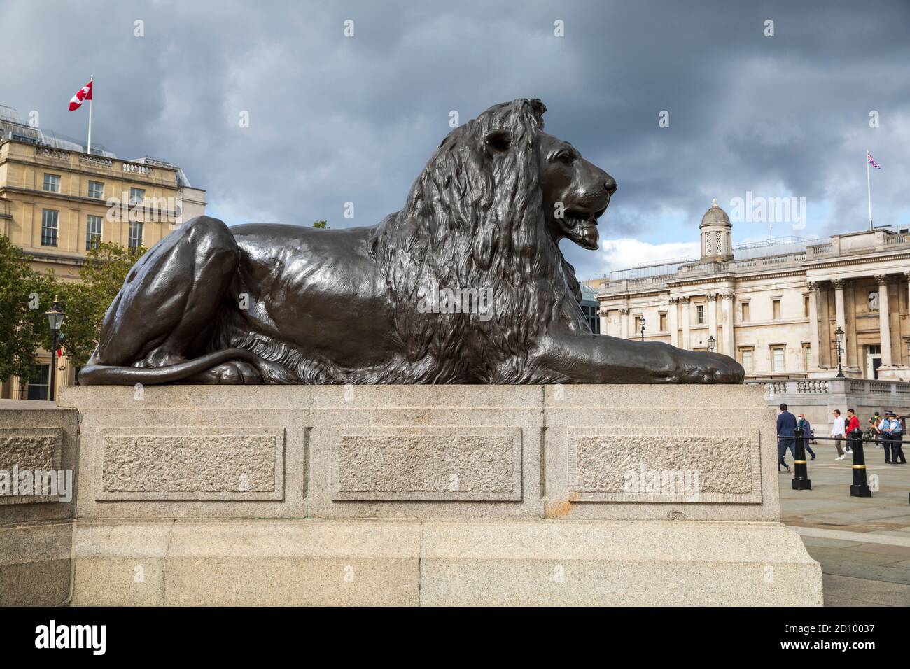 One of four monumental bronze lions guarding each corner of Trafalgar Square in London, England. Stock Photo