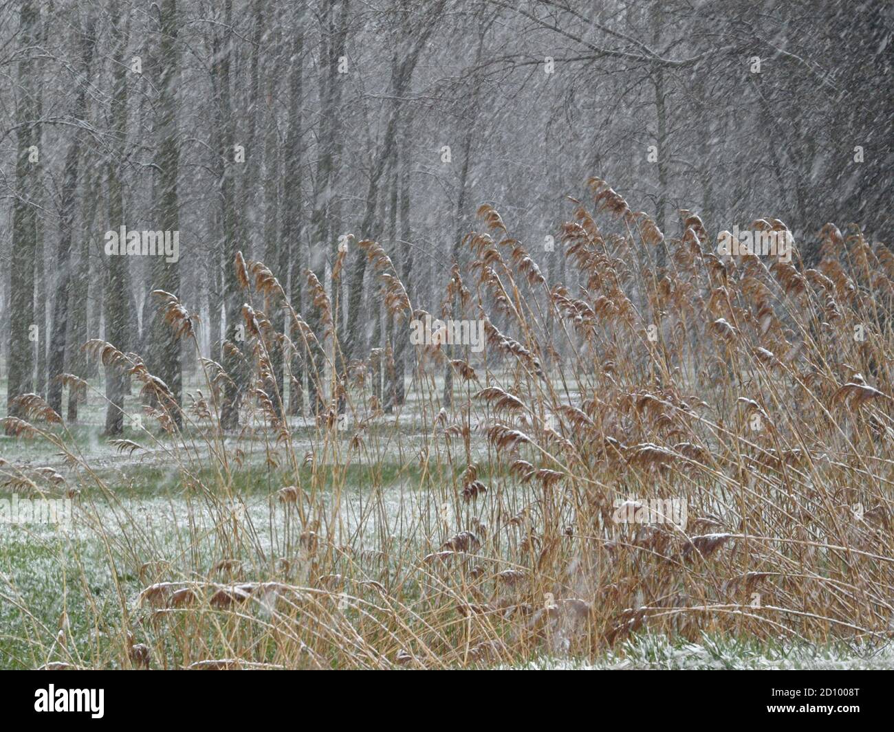 Weather snowfall hi-res stock photography and images - Alamy