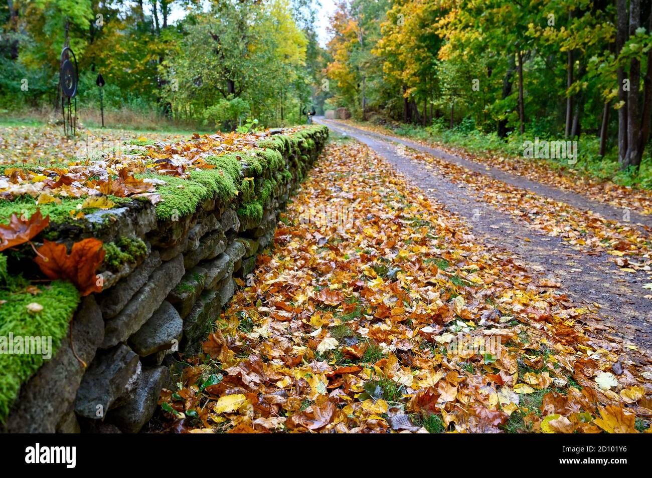 autumn leaves on road and old stone wall covered in moss Stock Photo ...
