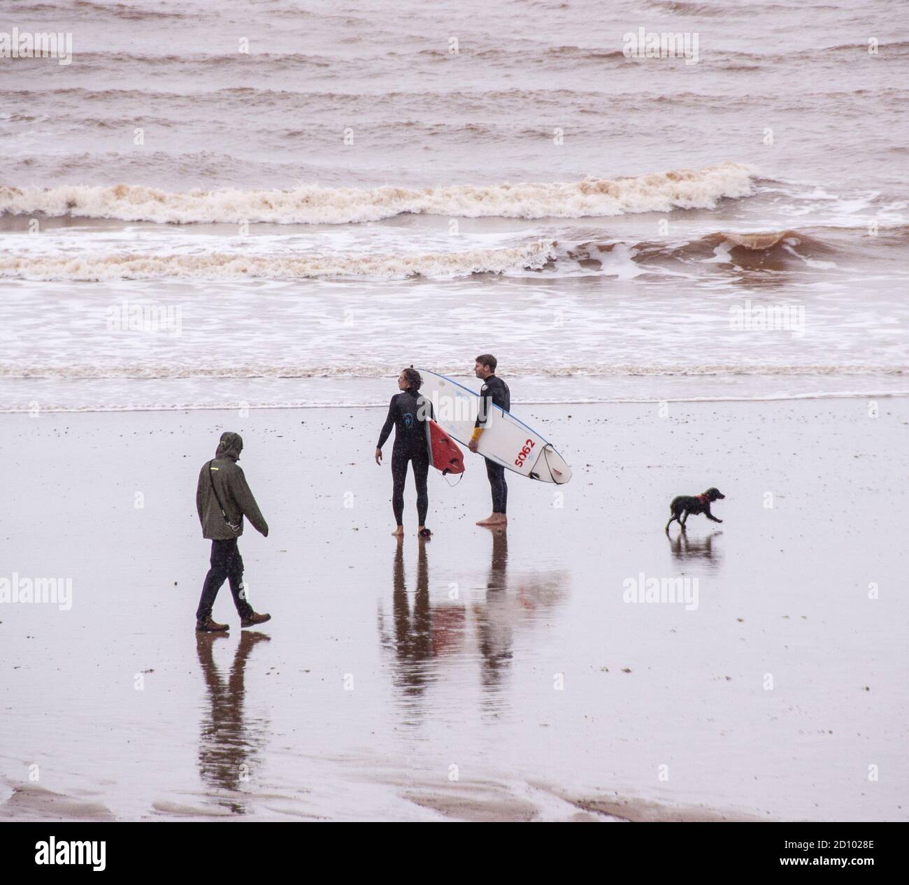 Sidmouth, Devon 4th Oct 2020 With Storm Alex now gone, surfers prepare to head out into the English Channel at Sidmouth Devon on a cool and rainy Sunday. Credit: Photo Central/Alamy Live News Stock Photo