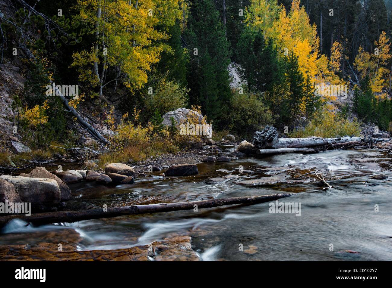 Gently flowing stream in the high mountains of Utah.  The Upper Provo River, in the Uinta Mountains, is located in the northeastern part of the state. Stock Photo