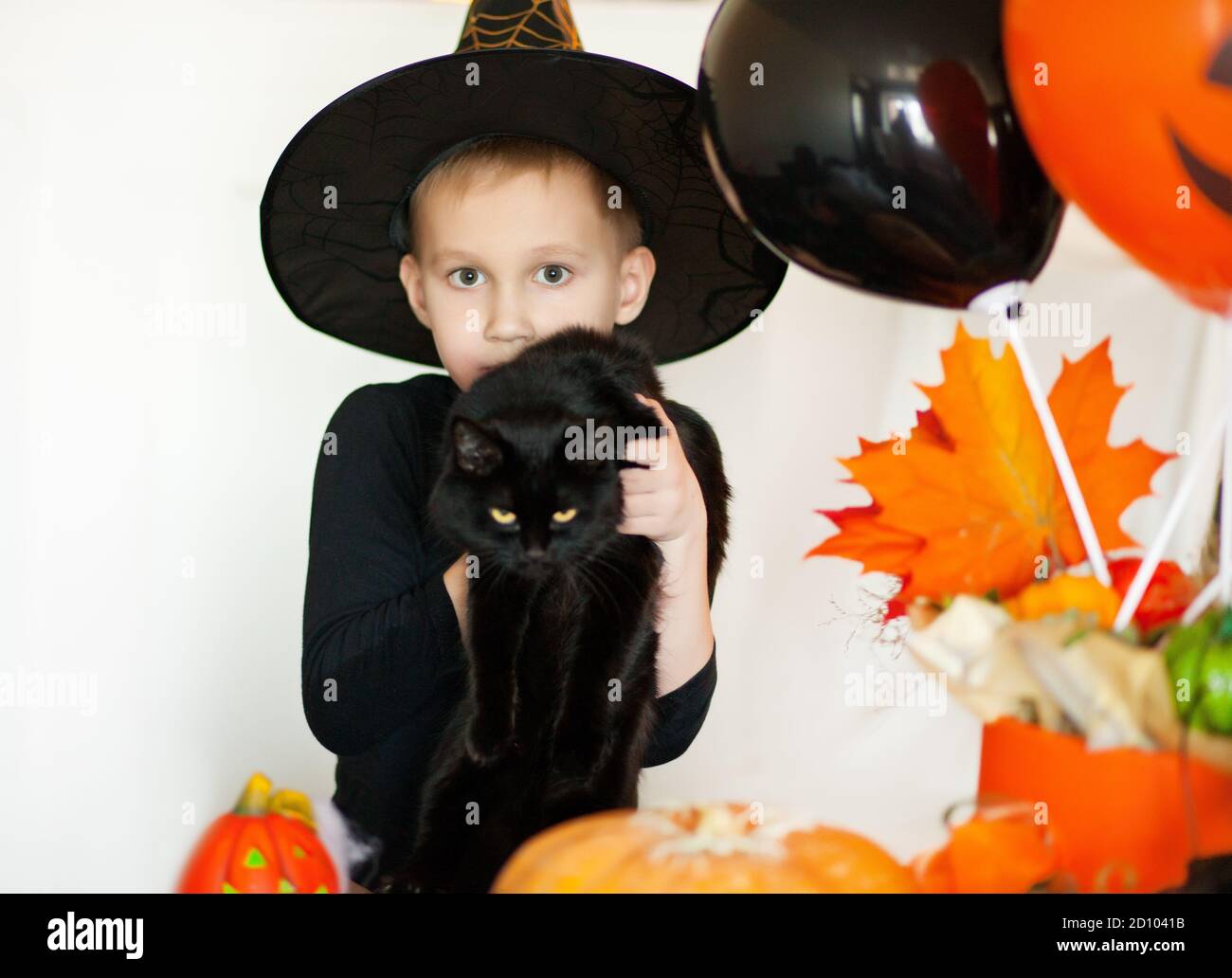 funny kid boy in witch costume for Halloween with black cat in a hands Stock Photo